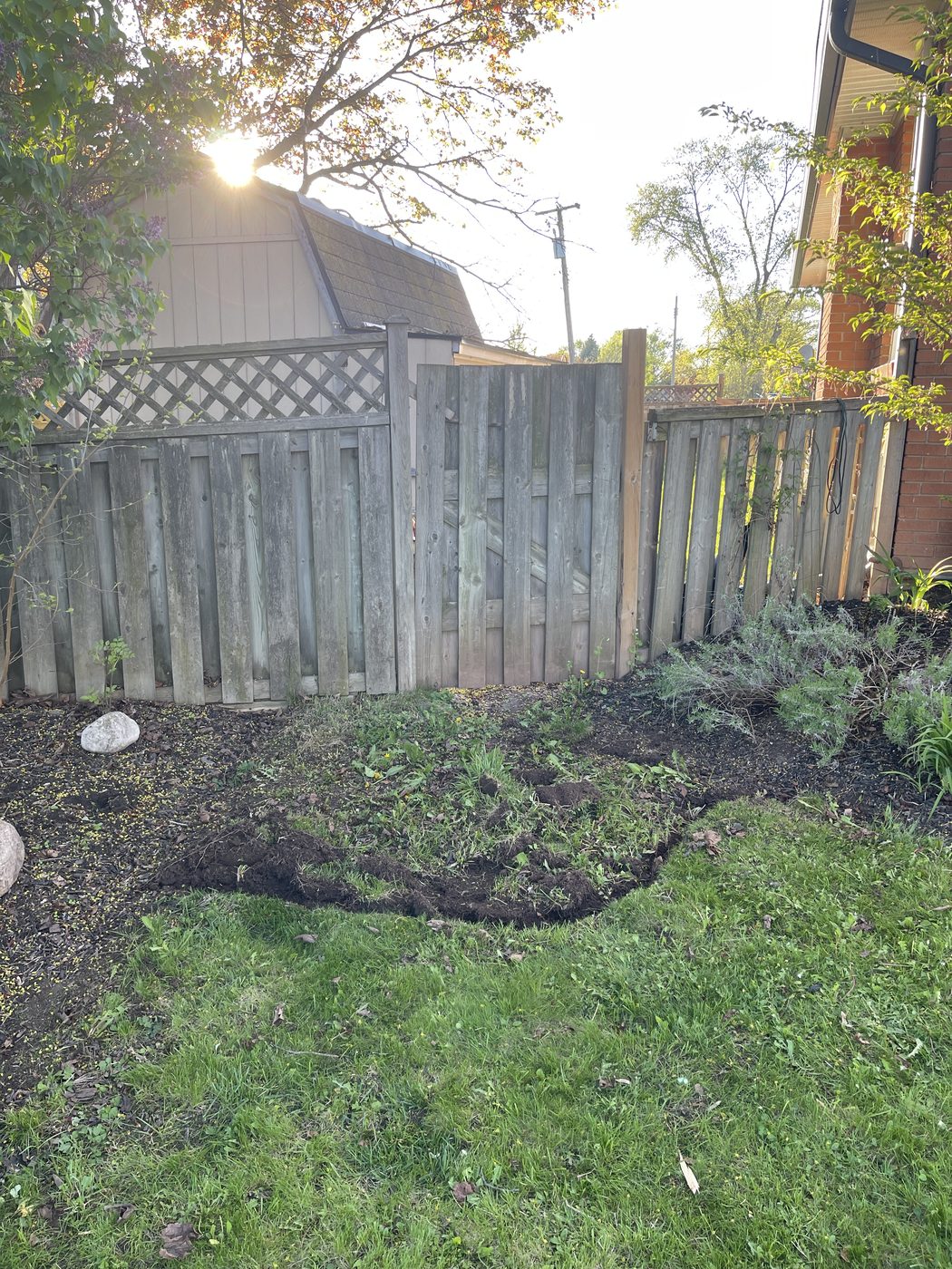 Tired garden bed before renovation