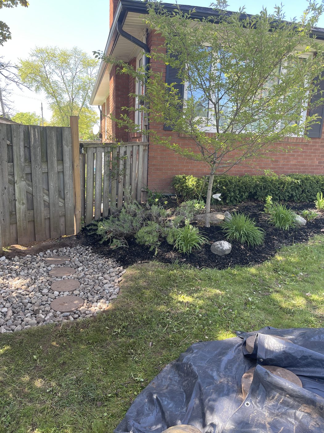 Garden bed after renovation with fresh mulch and plants