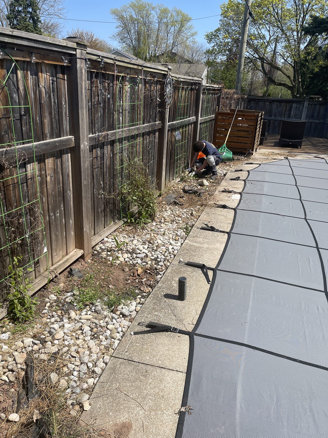 Overgrown pool-side garden bed before renovation
