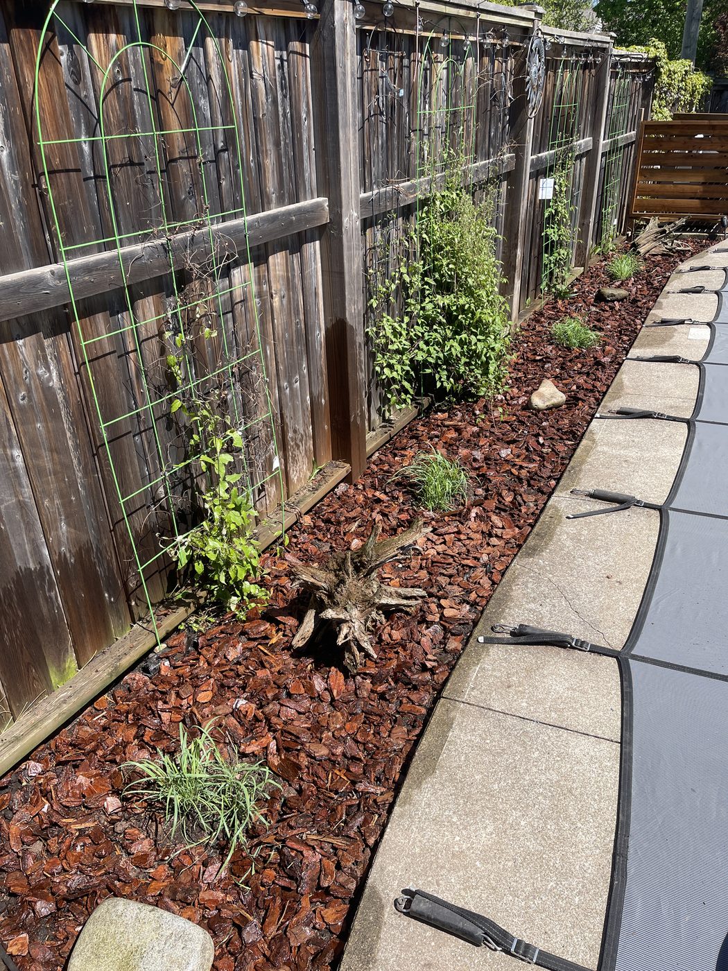 Pool-side garden bed after renovation with fresh red mulch