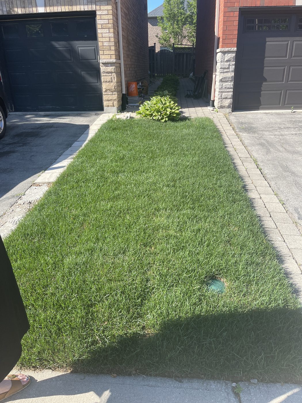 Fresh sod laid along driveway