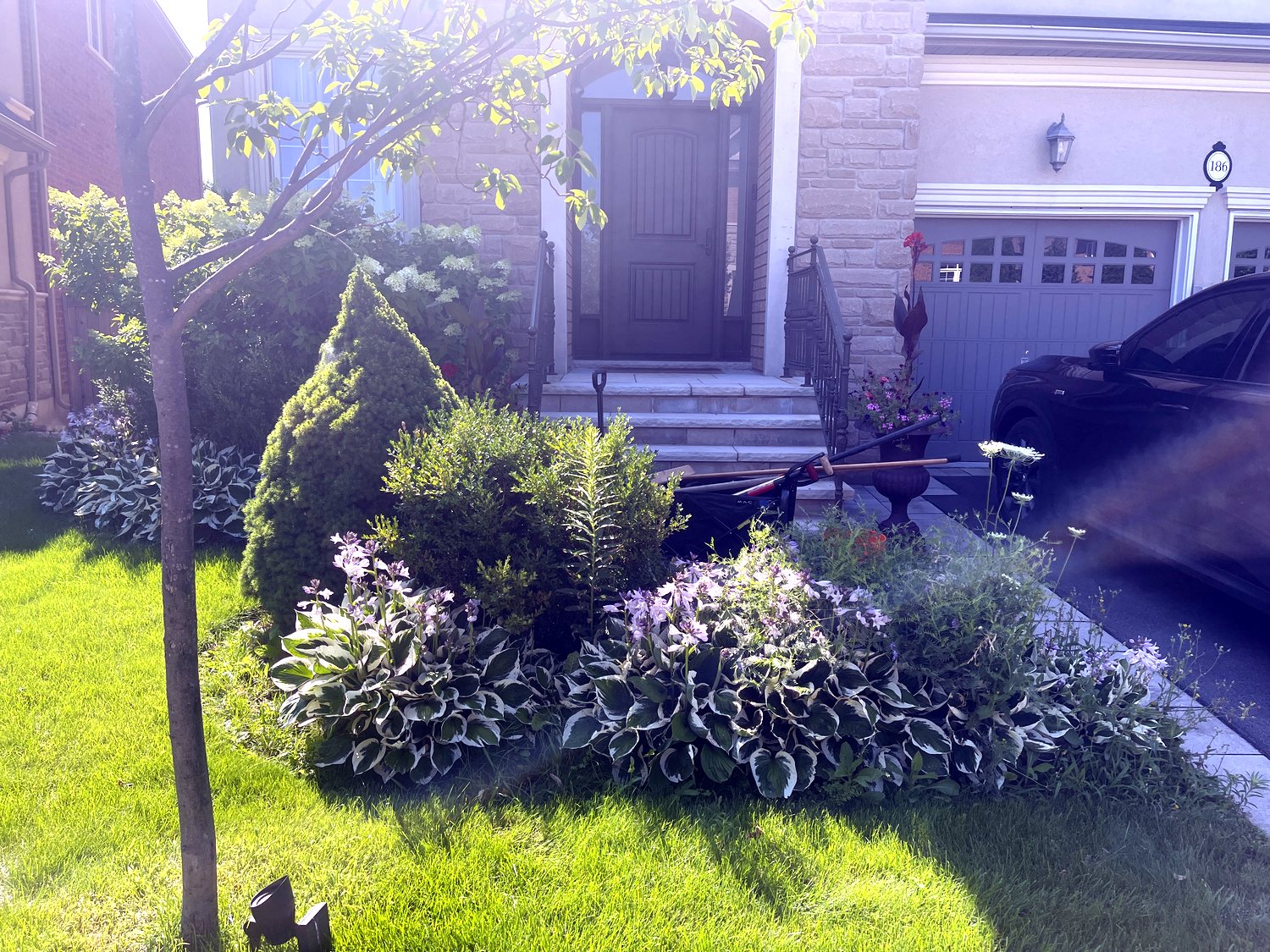 Garden bed before