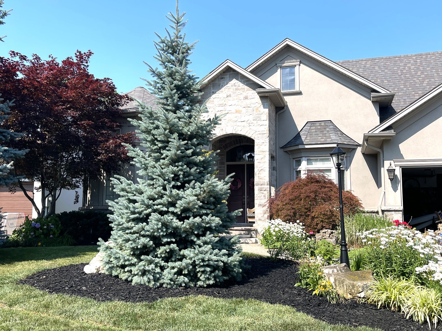 Front yard after landscaping