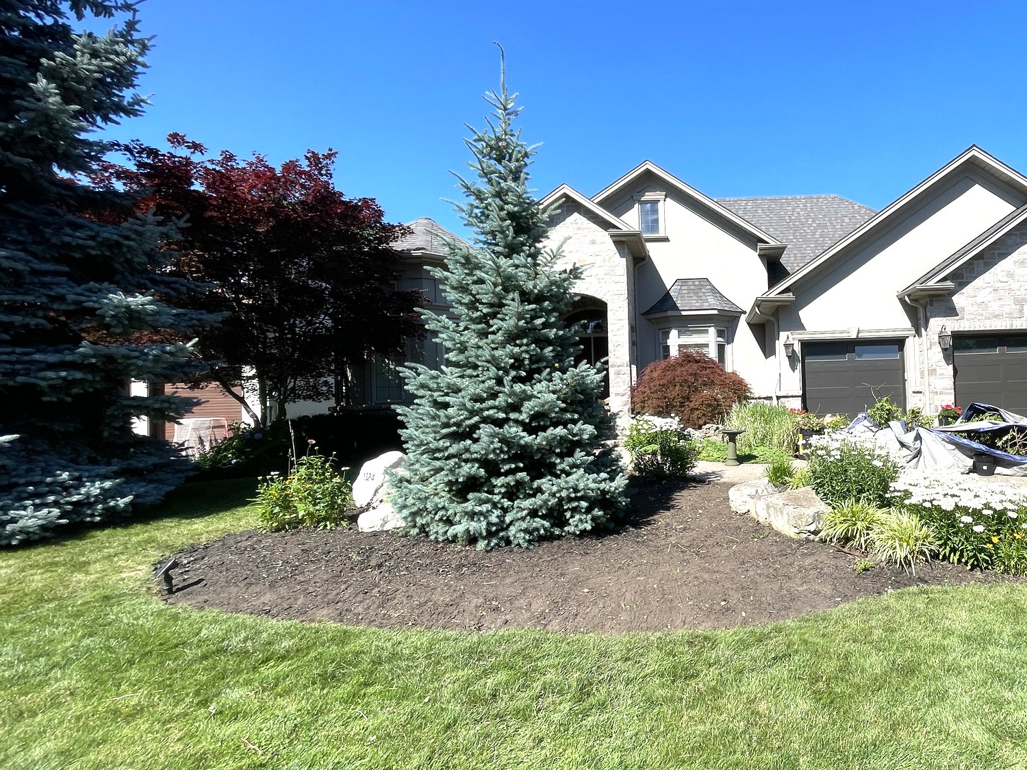 Front yard mid-project