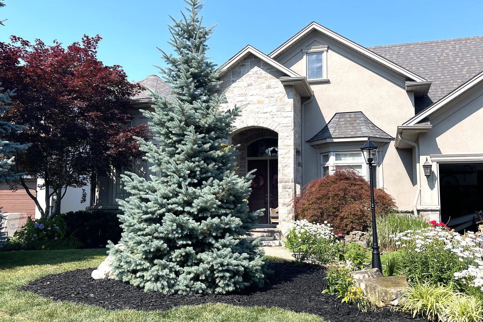 Full property curb appeal maintenance