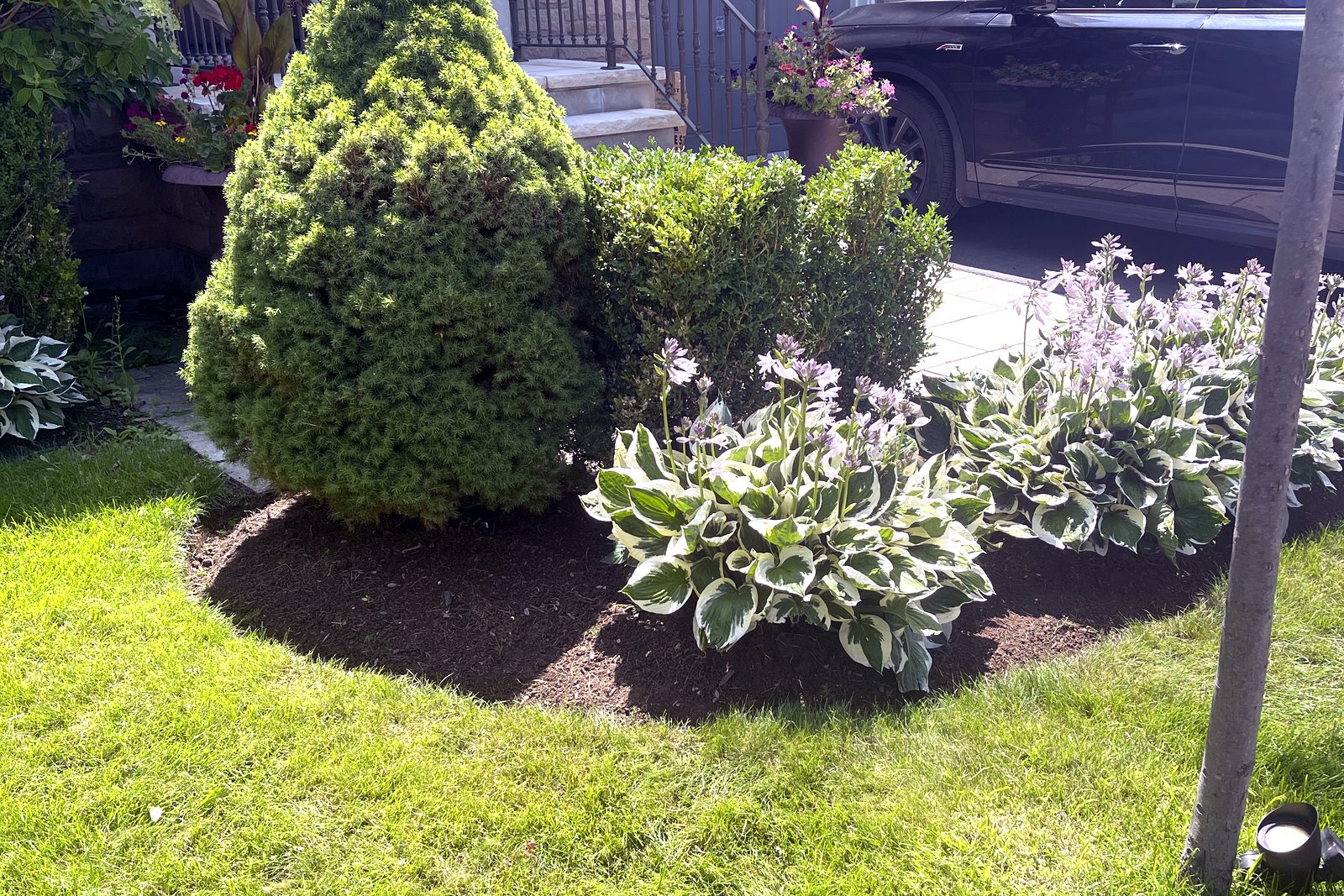 Garden renovation and maintenance